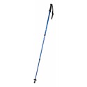 Brulen nordic walking sticks