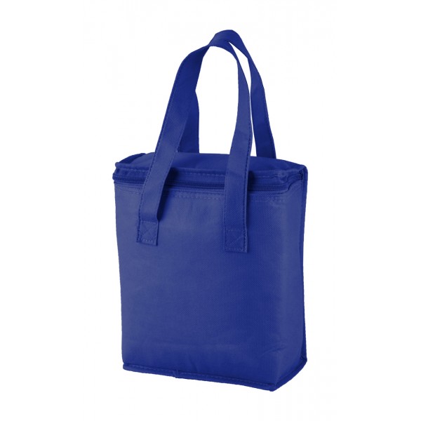 Fridrate cooler bag